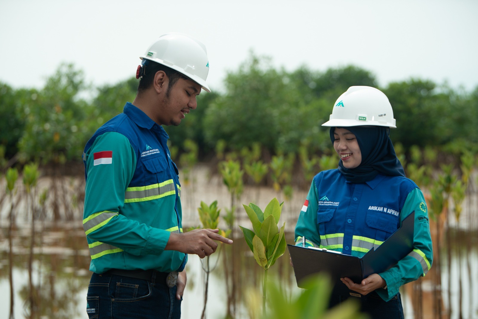 Rehabilitasi Berbasis Kolaborasi Hidupkan Kembali Biota Laut Morowali